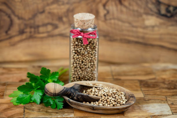 خرید و قیمت تخم گشنیز اعلا + فروش صادراتی